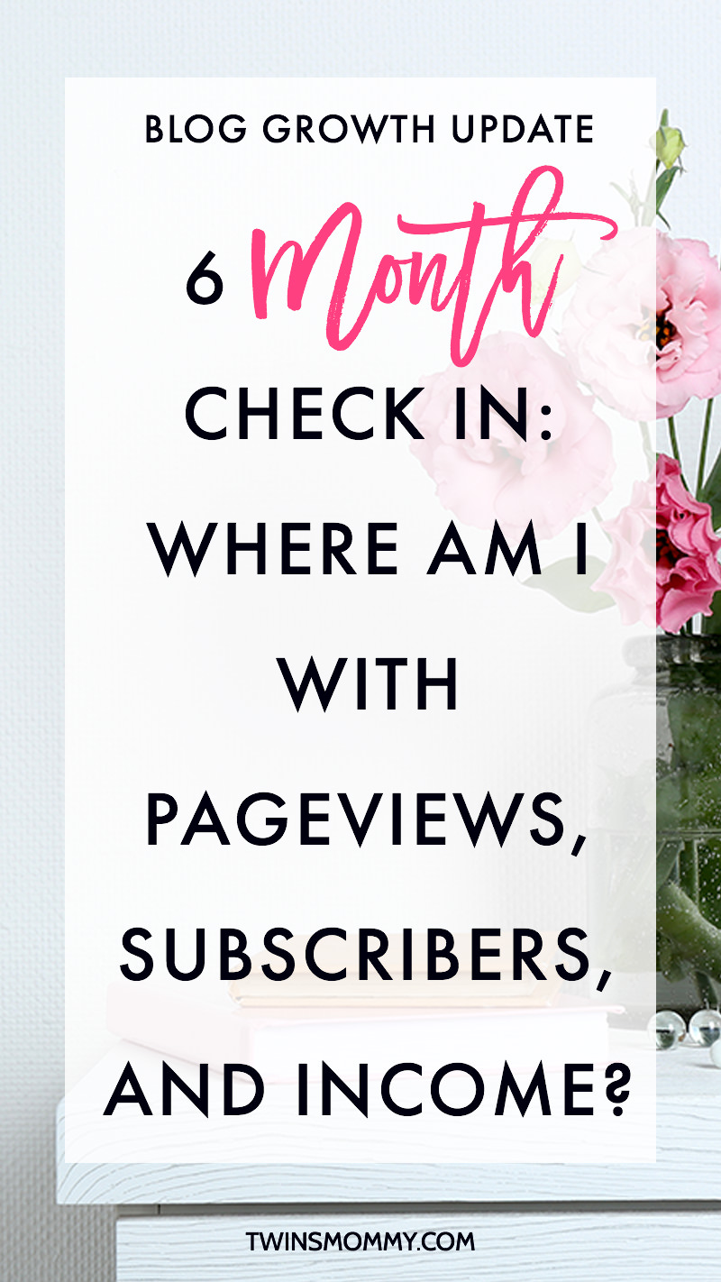 6 Month Blog Growth Update: Where Am I With Pageviews, Subscribers and Income?