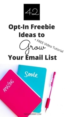 42 Freebie Ideas to Grow Your Email List as a New Blogger + Free Video Tutorial